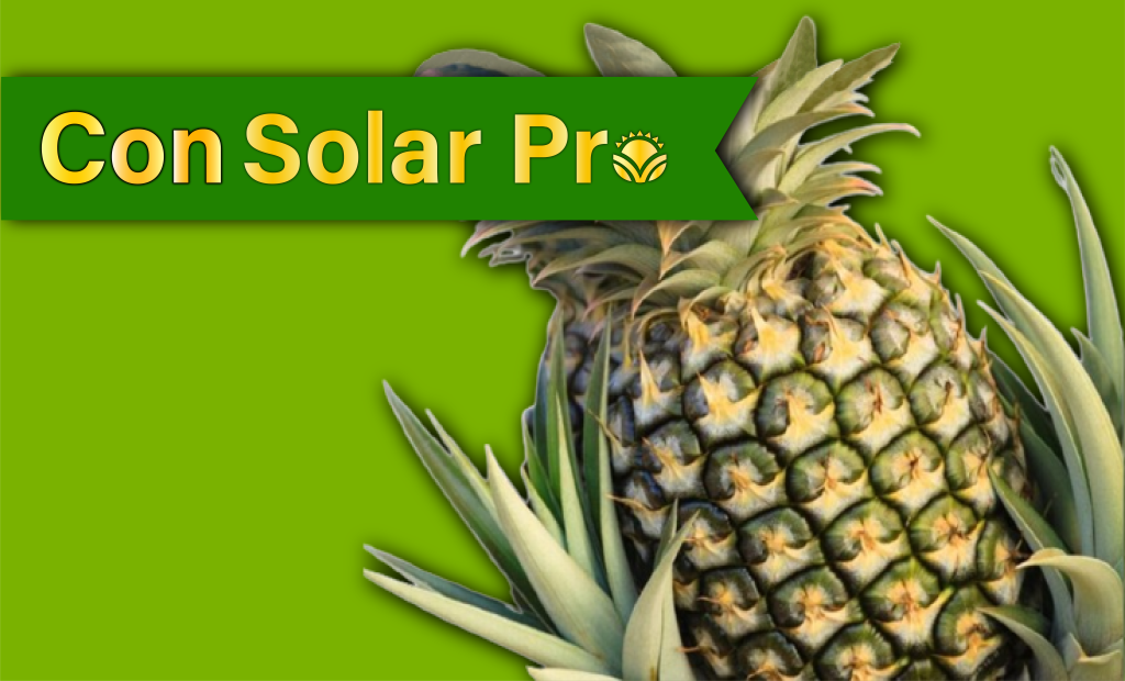 Con Solar Pro
