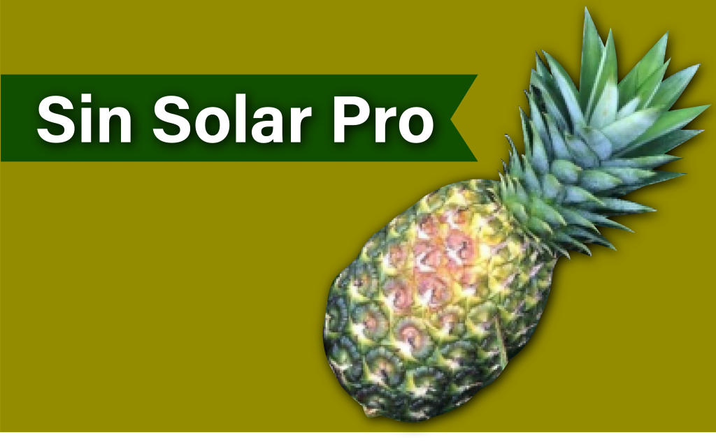 Sin Solar Pro