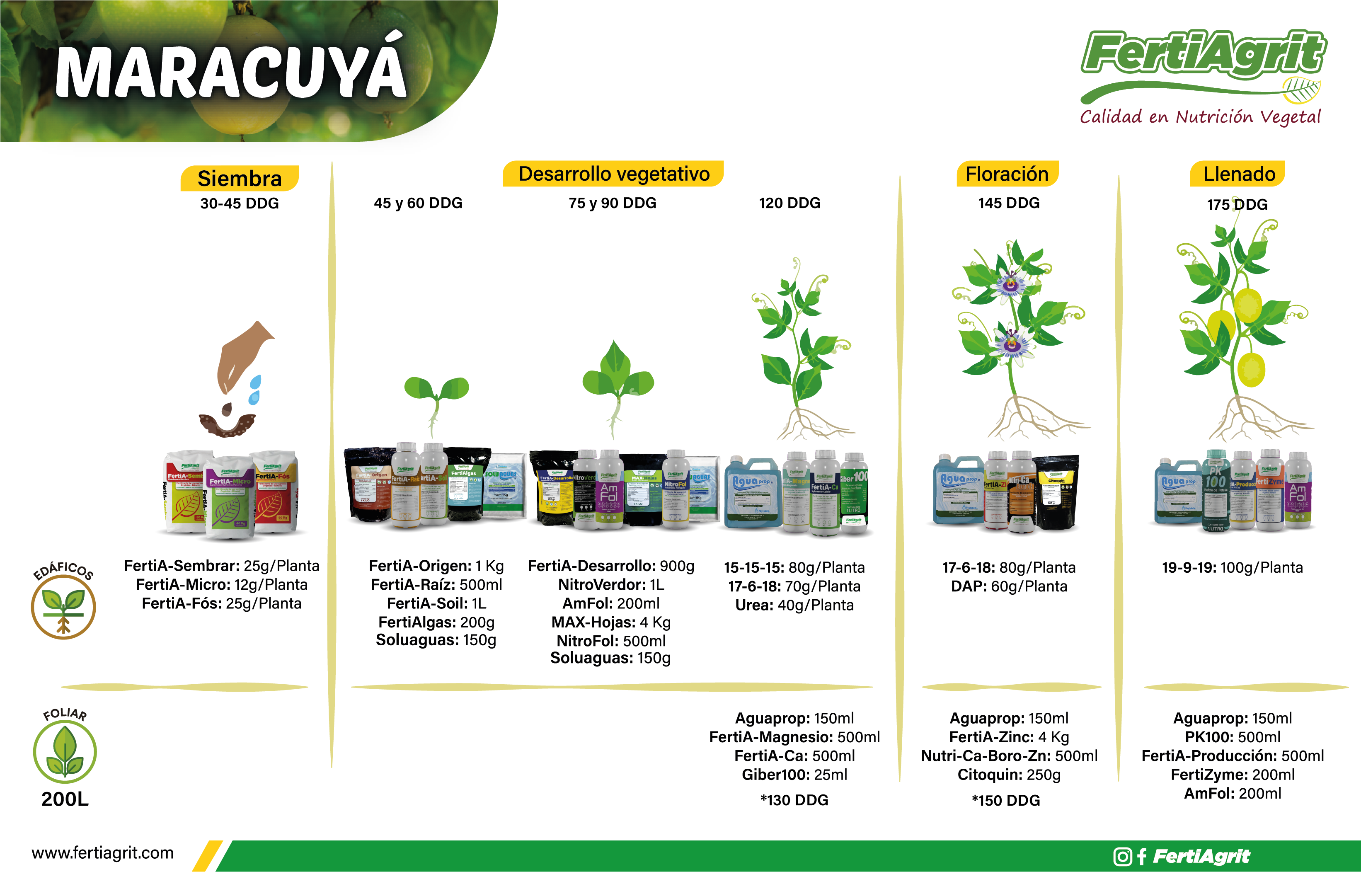 Fenología maracuyá FertiAgrit